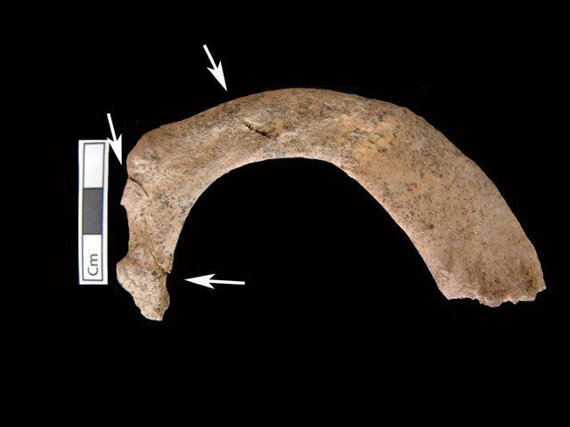 Ο δολοφόνος της Αμφίπολης -Αγριο θάνατο βρήκαν οι νεκροί του τάφου [εικόνες] | iefimerida.gr 0