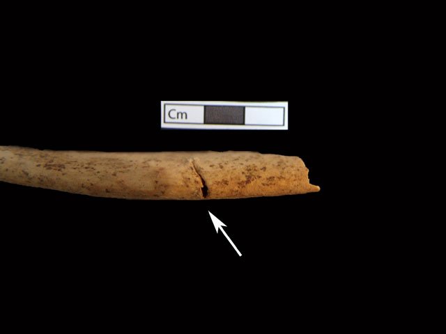 Ο δολοφόνος της Αμφίπολης -Αγριο θάνατο βρήκαν οι νεκροί του τάφου [εικόνες] | iefimerida.gr 2