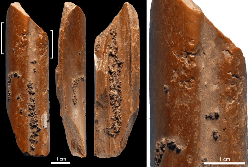 Κίνα: Ανακάλυψαν εργαλεία, από κόκαλα και κέρατα, 115.000 χρόνων [εικόνες] | iefimerida.gr 1