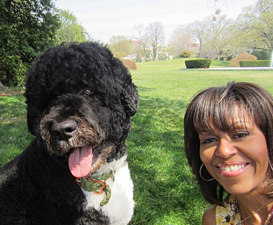 Τα πιο σέξι και δημοφιλή selfies του 2013-Από τη Μπιγιονσέ στο ...μπούστο της Μαράια Κάρεϊ [εικόνες] | iefimerida.gr 4