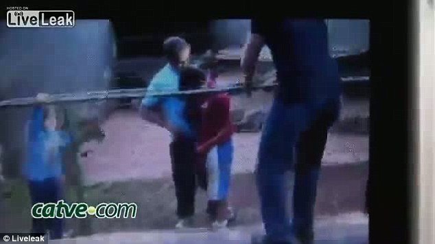 Σκηνές αλλοφροσύνης στη Βραζιλία: Τίγρης επιτέθηκε σε αγόρι και ακρωτηρίασε το χέρι του [εικόνες] | iefimerida.gr 1