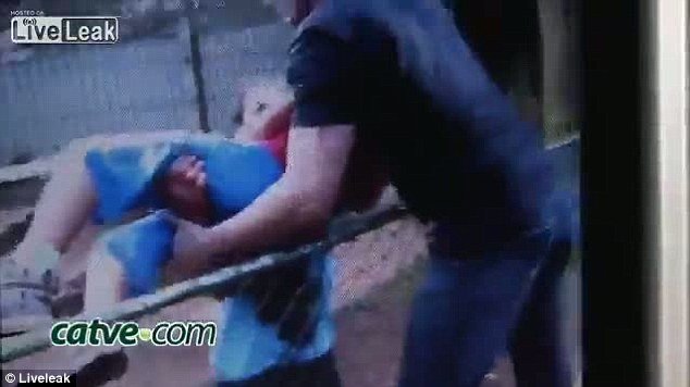 Σκηνές αλλοφροσύνης στη Βραζιλία: Τίγρης επιτέθηκε σε αγόρι και ακρωτηρίασε το χέρι του [εικόνες] | iefimerida.gr 2