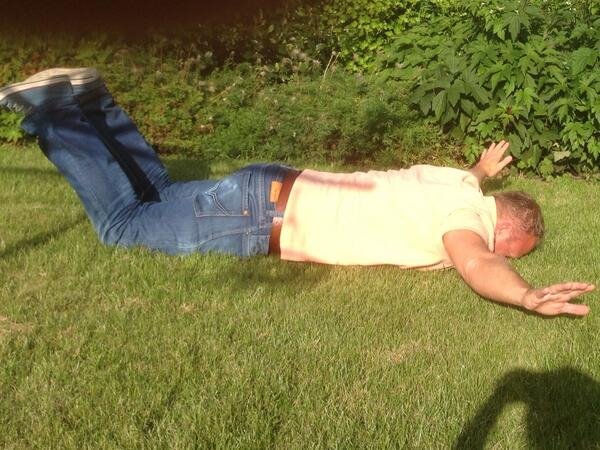 Μπορείς κι εσύ να «πετάξεις» σαν τον Φαν Πέρσι -Ξεκαρδιστικές μιμήσεις του απίθανου γκολ από φιλάθλους [εικόνες&βίντεο] | iefimerida.gr 4