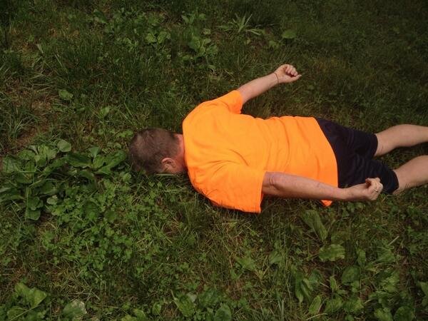 Μπορείς κι εσύ να «πετάξεις» σαν τον Φαν Πέρσι -Ξεκαρδιστικές μιμήσεις του απίθανου γκολ από φιλάθλους [εικόνες&βίντεο] | iefimerida.gr 5