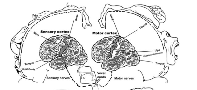 Αυτός είναι ο λόγος που φιλάμε με γλώσσα -Ενας επιστήμονας εξηγεί [εικόνες] | iefimerida.gr 0