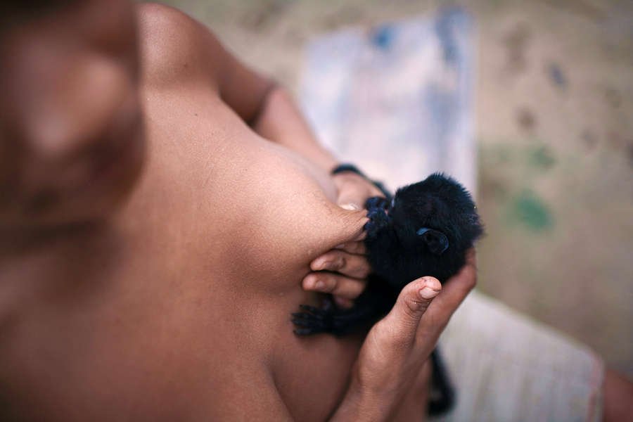 Κόλιν Φερθ: Ελάτε να σώσουμε τους Iνδιάνους Awa! [εικόνες] | iefimerida.gr 1