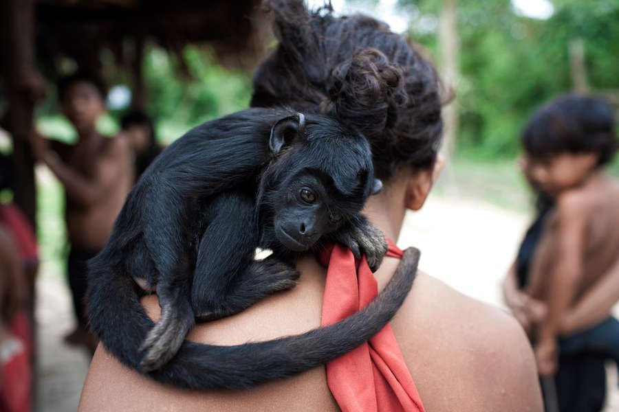 Κόλιν Φερθ: Ελάτε να σώσουμε τους Iνδιάνους Awa! [εικόνες] | iefimerida.gr 2