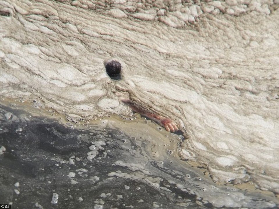 Φρίκη στη Βραζιλία: Ξεβράστηκε πτώμα στις Ολυμπιακές Εγκαταστάσεις της κολύμβησης [εικόνες] | iefimerida.gr 1