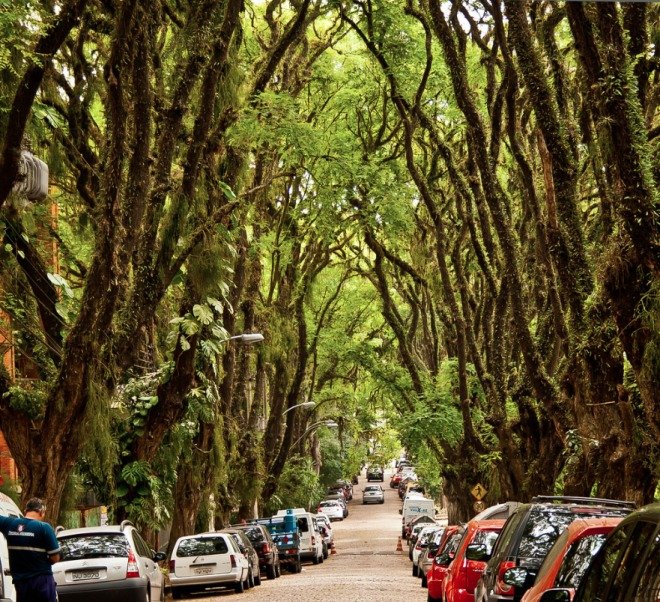Ετσι είναι ο πιο όμορφος δρόμος του κόσμου -Πού βρίσκεται και γιατί αποτελεί περιβαλλοντική κληρονομιά [εικόνες] | iefimerida.gr 2