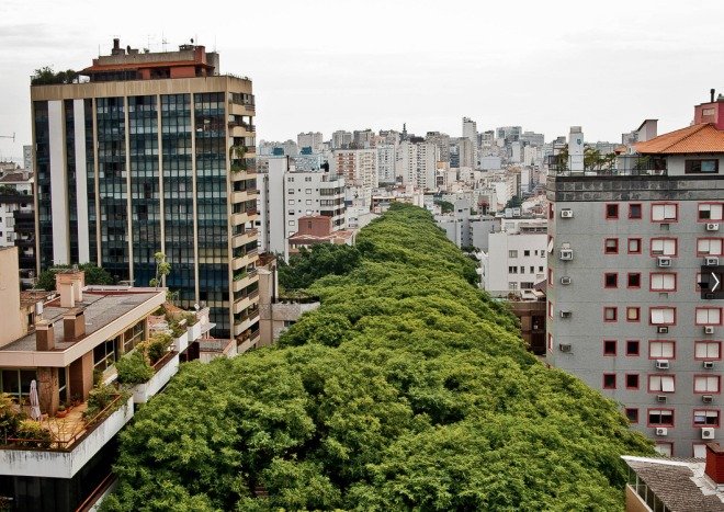 Ετσι είναι ο πιο όμορφος δρόμος του κόσμου -Πού βρίσκεται και γιατί αποτελεί περιβαλλοντική κληρονομιά [εικόνες] | iefimerida.gr 3