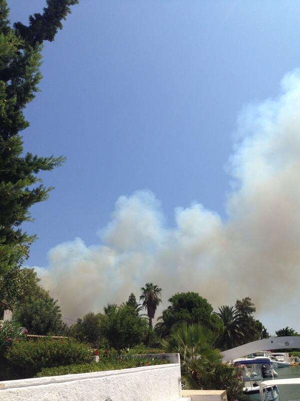 H Ελλη Κοκκίνου φωτογραφίζει καρέ καρέ τη φωτιά όπου πλησιάζει την παραλία που βρίσκεται [εικόνες] | iefimerida.gr 2