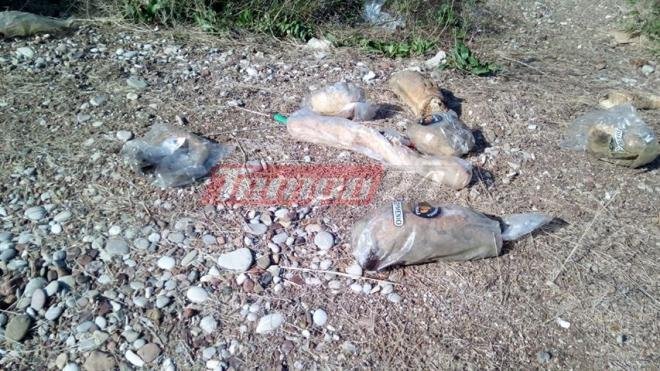 Ασυνείδητοι πέταξαν δεκάδες φρατζόλες ψωμί, με τη σακούλα, στις όχθες του Αραξου [εικόνες] | iefimerida.gr 3