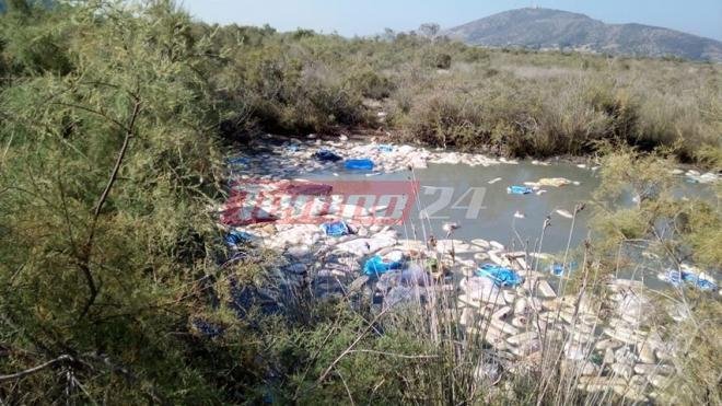 Ασυνείδητοι πέταξαν δεκάδες φρατζόλες ψωμί, με τη σακούλα, στις όχθες του Αραξου [εικόνες] | iefimerida.gr 1