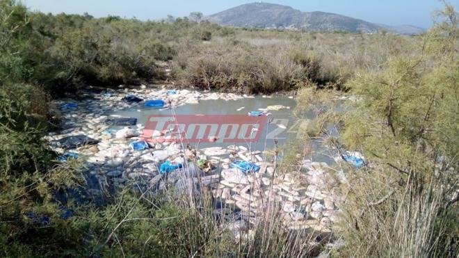 Ασυνείδητοι πέταξαν δεκάδες φρατζόλες ψωμί, με τη σακούλα, στις όχθες του Αραξου [εικόνες] | iefimerida.gr 4