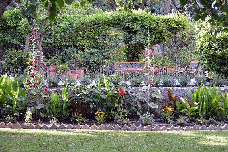 Για πρώτη φορά: Ανοίγει ο κήπος της Βρετανικής Σχολής -Στην καρδιά της Αθήνας [εικόνες] | iefimerida.gr 1