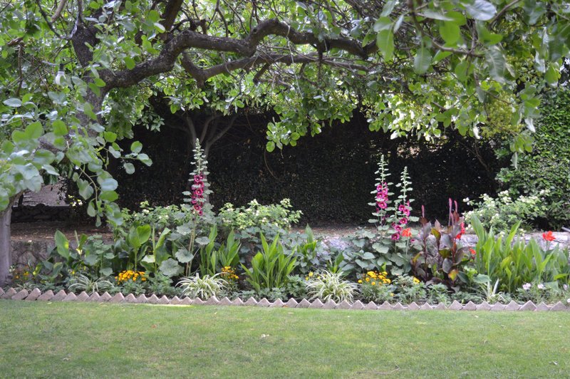 Για πρώτη φορά: Ανοίγει ο κήπος της Βρετανικής Σχολής -Στην καρδιά της Αθήνας [εικόνες] | iefimerida.gr 3