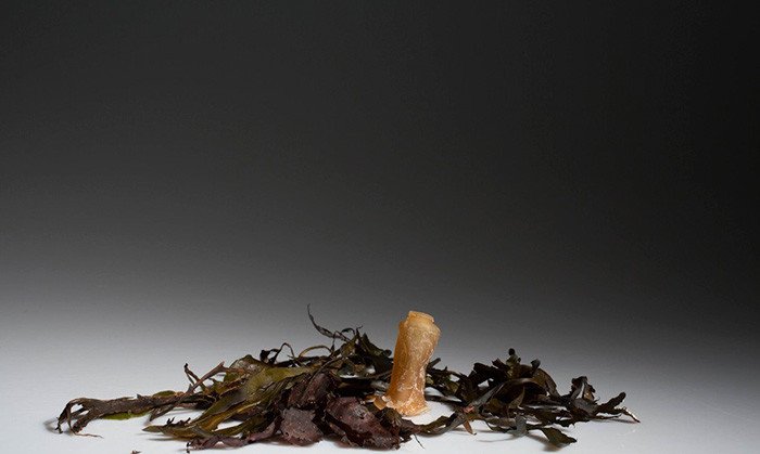 Μπουκάλια από φύκια -Βιοδιασπώνται μόλις αδειάσουν [εικόνες]  | iefimerida.gr 7