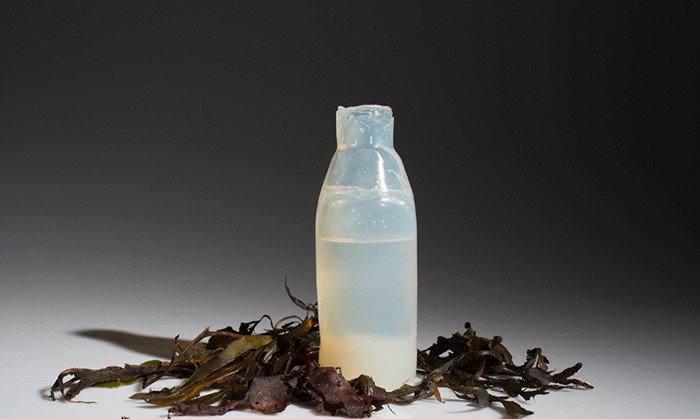 Μπουκάλια από φύκια -Βιοδιασπώνται μόλις αδειάσουν [εικόνες]  | iefimerida.gr 1