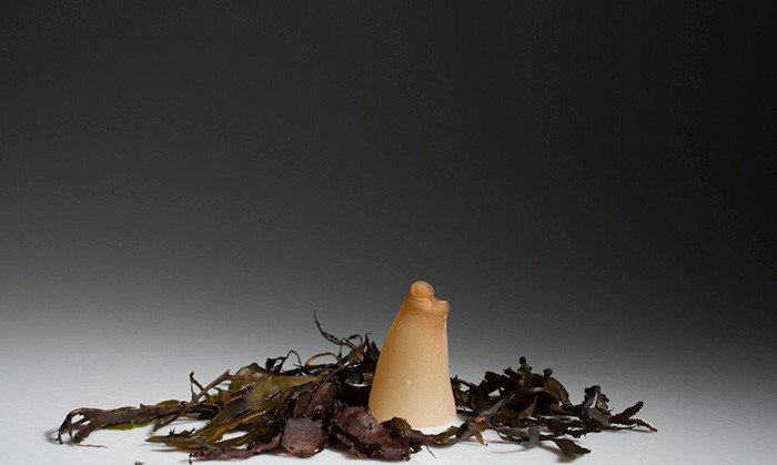 Μπουκάλια από φύκια -Βιοδιασπώνται μόλις αδειάσουν [εικόνες]  | iefimerida.gr 5