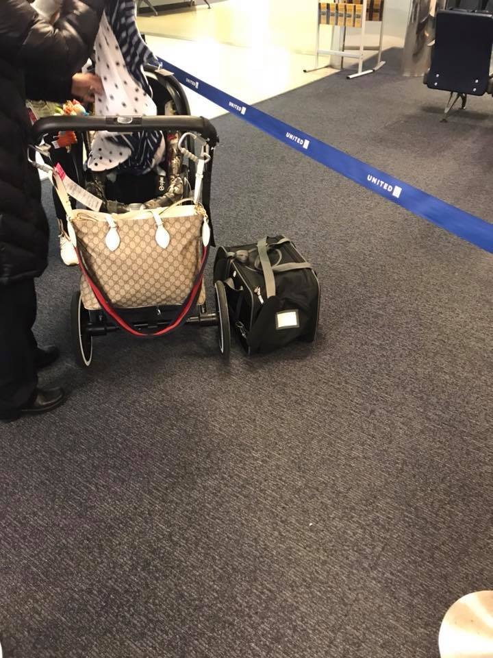 «Το κουτάβι πάλεψε για τη ζωή του, έκλαιγε ώσπου ξεψύχησε» -Επιβάτης της United περιγράφει τη δραματική κατάληξη του σκύλου [εικόνες] | iefimerida.gr 2