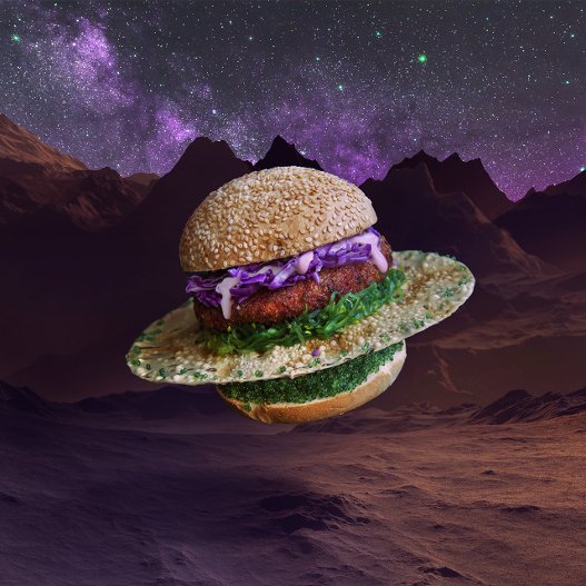 Από τον Τζέιμς Μπόντ στα UFO: Τα ευφάνταστα μπέργκερ δύο φίλων | iefimerida.gr 5