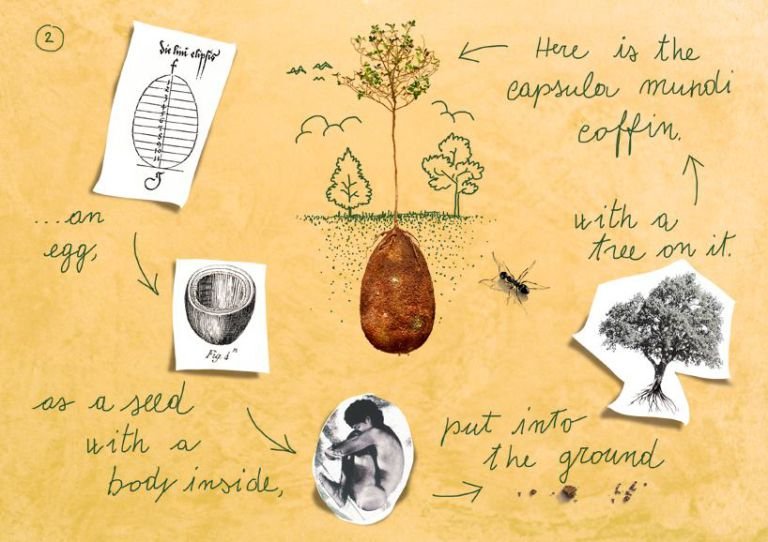 Ξεχάστε τα φέρετρα -Το νέο trend είναι η ταφή μέσα σε βιοδιασπώμενους λοβούς [εικόνες] | iefimerida.gr 1