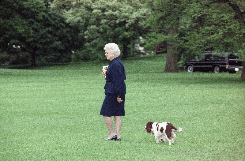 Τα ασυνήθιστα κατοικίδια των Αμερικανών προέδρων -Αλιγάτορες, πρόβατα και αρκούδες στον Λευκό Οίκο [εικόνες & βίντεο] | iefimerida.gr 4