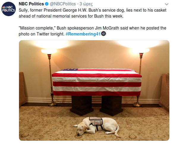 Η Σάλι, το λαμπραντόρ του Μπους, δεν φεύγει στιγμή δίπλα από το φέρετρο [εικόνα]  | iefimerida.gr 0