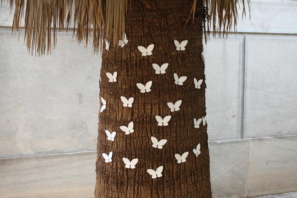 Ο Νεπαλέζος καλλιτέχνης που γέμισε την Αθήνα με λευκές πεταλούδες σπάζοντας το γκρίζο της πόλης [εικόνες]  | iefimerida.gr 2