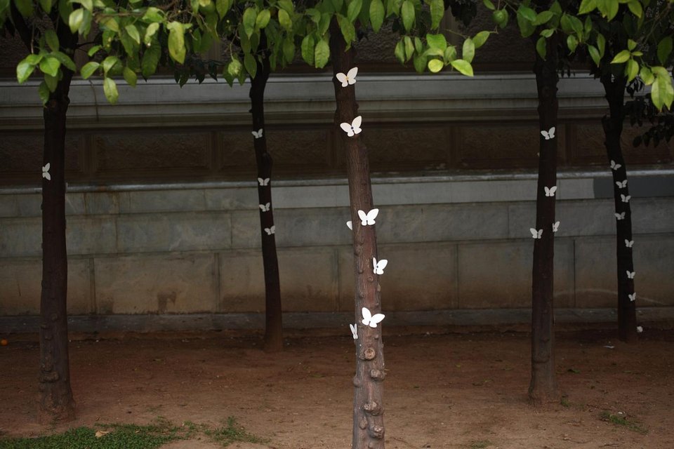 Ο Νεπαλέζος καλλιτέχνης που γέμισε την Αθήνα με λευκές πεταλούδες σπάζοντας το γκρίζο της πόλης [εικόνες]  | iefimerida.gr 3