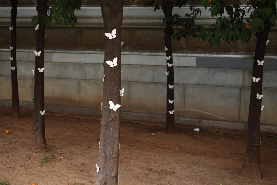 Ο Νεπαλέζος καλλιτέχνης που γέμισε την Αθήνα με λευκές πεταλούδες σπάζοντας το γκρίζο της πόλης [εικόνες]  | iefimerida.gr 4