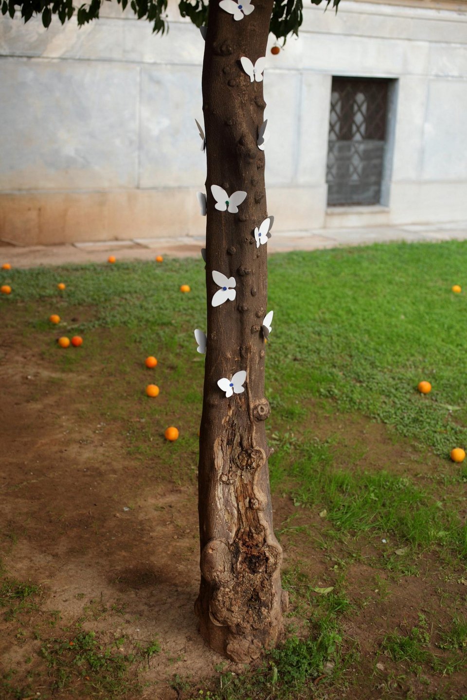 Ο Νεπαλέζος καλλιτέχνης που γέμισε την Αθήνα με λευκές πεταλούδες σπάζοντας το γκρίζο της πόλης [εικόνες]  | iefimerida.gr 5