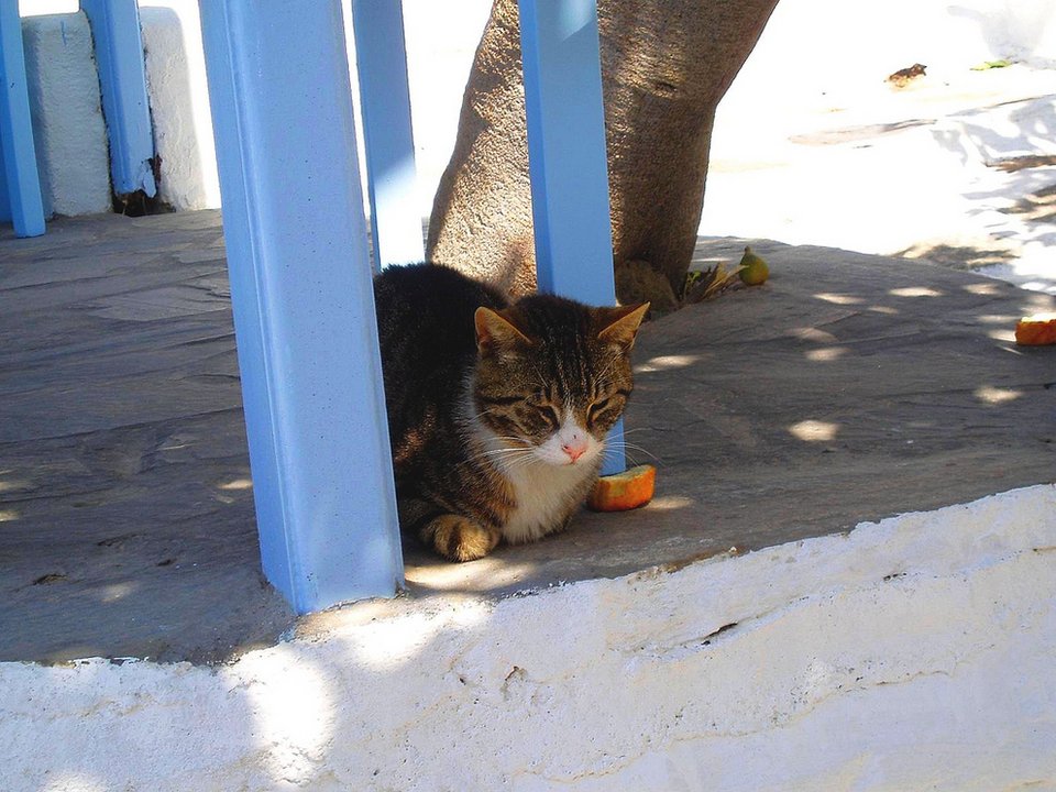 Το Buzzfeed διαφημίζει την Ελλάδα με τον καλύτερο τρόπο -Μέσα από 30 συγκλονιστικές φωτογραφίες [εικόνες]  | iefimerida.gr 10