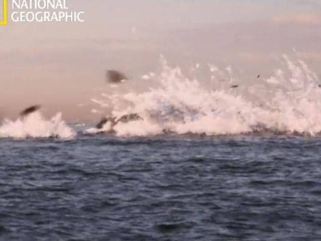 Ετσι διαλύθηκε στη θάλασσα η πτήση ΜΗ370 -Βίντεο του National Geographic με το θανατηφόρο σπιράλ | iefimerida.gr 1
