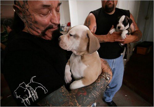 Rescue Ink: Οι τρομακτικοί μηχανόβιοι της Νέας Υόρκης που προστατεύουν τα ζώα [εικόνες] | iefimerida.gr 5