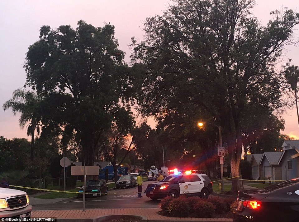 Συντριβή μικρού αεροσκάφους στην Καλιφόρνια -3 νεκροί [εικόνες & βίντεο] | iefimerida.gr 0