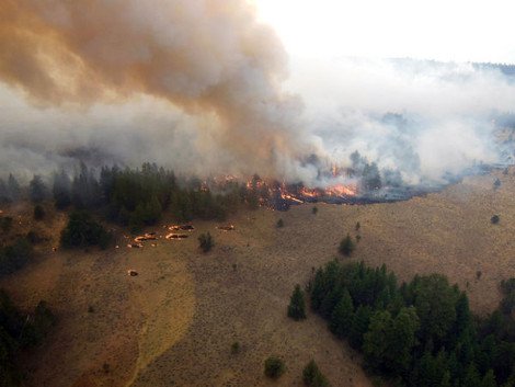 Η Καλιφόρνια μετράει τις πληγές της -Φωτιές και κατολισθήσεις καταστρέφουν την πολιτεία [εικόνες&βίντεο] | iefimerida.gr 8