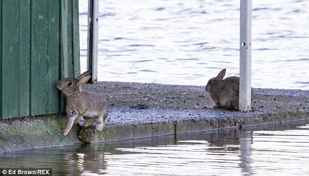 Ο Ντέιβιντ Κάμερον έβαλε τις γαλότσες και επιθεωρεί την πρωτοφανή καταστροφή της Αγγλίας [εικόνες] | iefimerida.gr 4