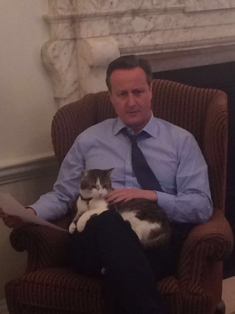 Ο Κάμερον περνάει... δύσκολα: Μου λείπει ο γάτος που είχα στην Ντάουνινγκ Στριτ [εικόνες] | iefimerida.gr 1