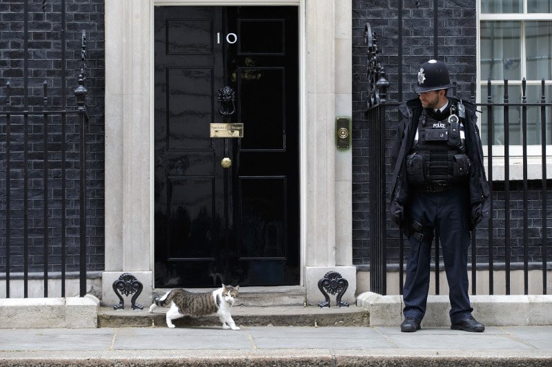 Ο Κάμερον περνάει... δύσκολα: Μου λείπει ο γάτος που είχα στην Ντάουνινγκ Στριτ [εικόνες] | iefimerida.gr 2