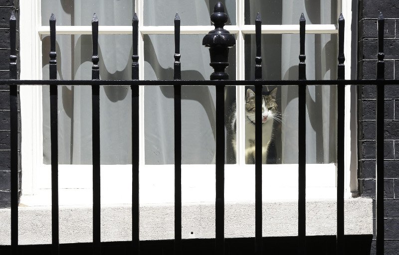 Ο Κάμερον περνάει... δύσκολα: Μου λείπει ο γάτος που είχα στην Ντάουνινγκ Στριτ [εικόνες] | iefimerida.gr 4