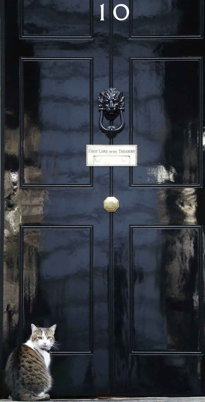 Ο Κάμερον περνάει... δύσκολα: Μου λείπει ο γάτος που είχα στην Ντάουνινγκ Στριτ [εικόνες] | iefimerida.gr 5