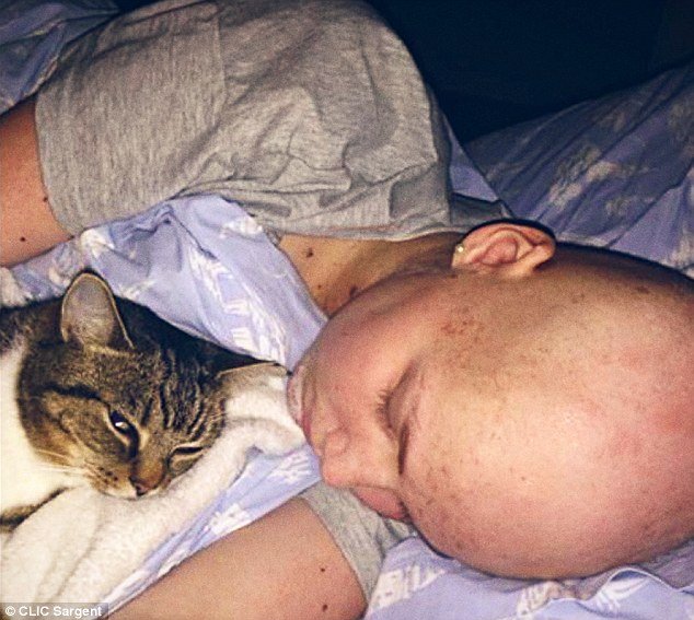 «Σας ευχαριστώ όλους, 1997-2016»: Ραγίζει καρδιές το τελευταίο post 19χρονης καρκινοπαθούς [εικόνες] | iefimerida.gr 1