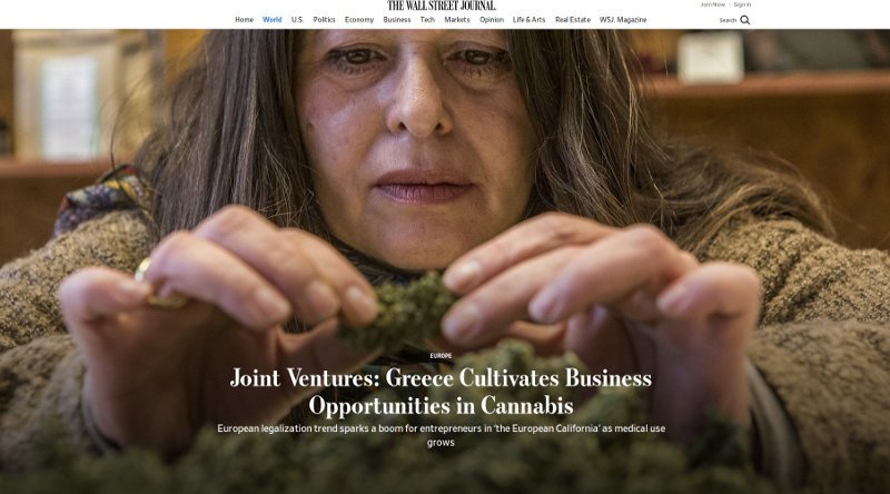 Ο Καρανίκας μιλά στην WSJ για την φαρμακευτική κάνναβη -Ως συντονιστής του επενδυτικού πρότζεκτ | iefimerida.gr 0