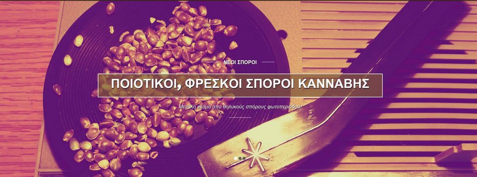 Ποιος είναι ο ιστότοπος canabiseeds που πουλάει σπόρους κάνναβης και στηρίζει το συλλαλητήριο υπέρ της [εικόνες] | iefimerida.gr 0