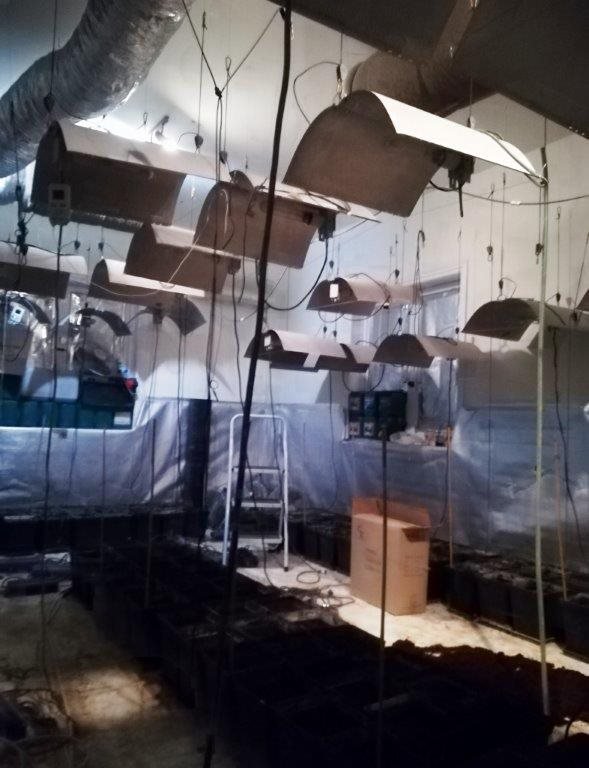 Είχαν στήσει... επαγγελματικό εργαστήριο κάνναβης στα Μελίσσια -Συνελήφθη 24χρονος [εικόνες] | iefimerida.gr 0