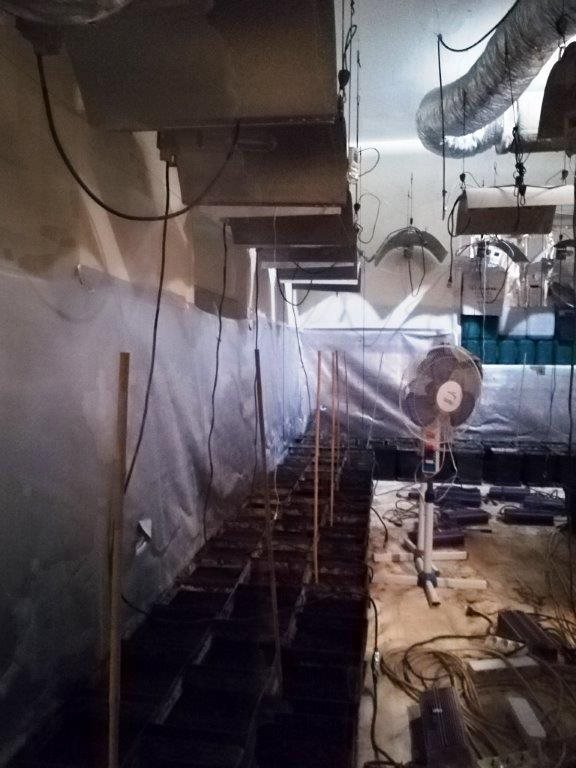Είχαν στήσει... επαγγελματικό εργαστήριο κάνναβης στα Μελίσσια -Συνελήφθη 24χρονος [εικόνες] | iefimerida.gr 1