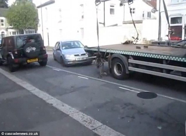 Ο επίμονος οδηγός -«Απογείωσε» το αυτοκίνητό του από τον γερανό που προσπαθούσε να το απομακρύνει [εικόνες&βίντεο] | iefimerida.gr 1