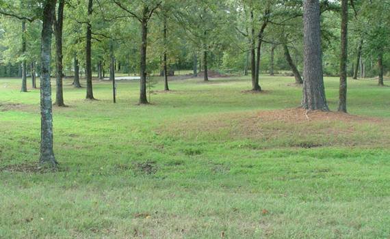 Κακοποιημένη σύζυγος έχτισε δικό της σπίτι, ακολουθώντας οδηγίες στο YouTube [εικόνες] | iefimerida.gr 1