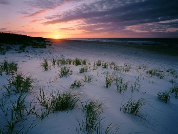 Οι ωραιότερες παραλίες στον κόσμο, για βουτιές στο απέραντο γαλάζιο [εικόνες] | iefimerida.gr 6